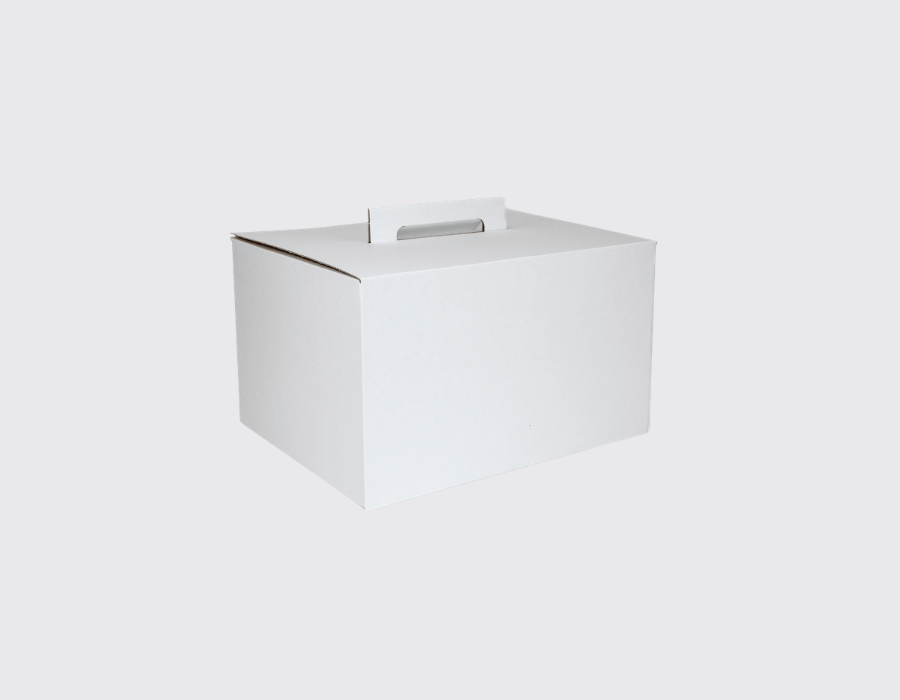 300x220x180mm Heavy Duty White Carry Case