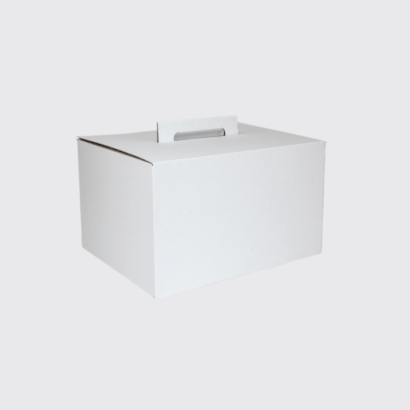 300x220x180mm White Carry Pack